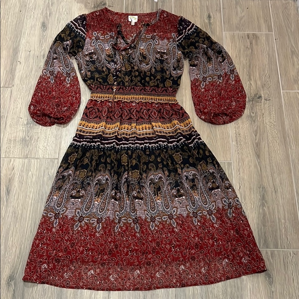 Fig & Flower Anthropologie Dress Sheer Boho Paisley Bishop Maxi Fall Rust Brown - Picture 14 of 16